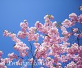 _MG_8013emla