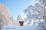 _MG_2393låg