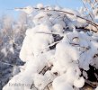 _MG_2405låg
