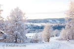 _MG_2414låg