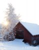 _MG_2427låg