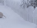 Vinter 09