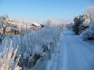 Vinter 09