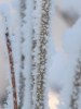 Vinter 09