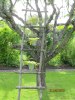 2010-06-24 109