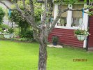 2010-06-24 110