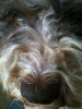 2010-06-29 Mobilen1 071