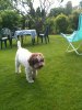 2010-06-29 Mobilen1 118