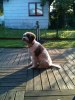 2010-07-30 032
