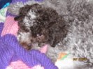 Nicolina10-12-18 068