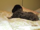 Nicolina10-12-18 108