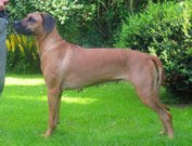Photo Kennel Evergrace