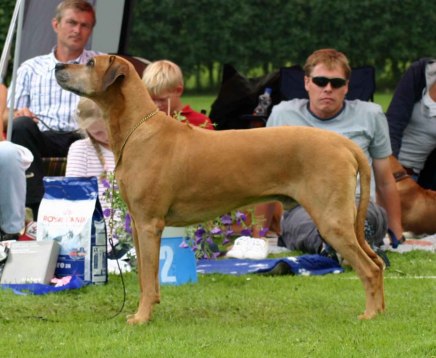 Akeronfreestackedjuli2009