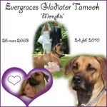 Photo: Kennel Evergraces
