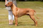 Photo Kennel Ridgebows
