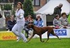 Nike springer in i ringen_2