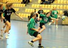 101227 NC Kärra-0117-1