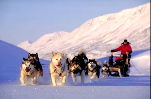 Foto: Staffan Widstrand