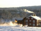 Kissen i hagen