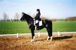 Sigrid och Marwin 942, Holland -01