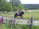 Olof och Jocke