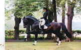Sigrid & Muffin 1998
