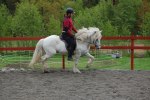 DSC_0740-liten