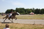 IMG_1258