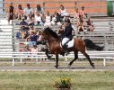 IMG_1242