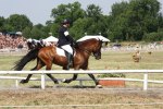 IMG_1277