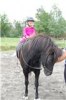 Solis med alice