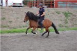 Mugge galopp