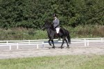 IMG_0471