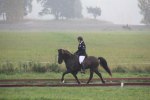 IMG_0594