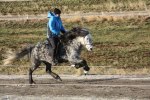 IMG_0973