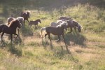 IMG_1222