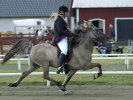 Bild 003