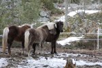 IMG_0113