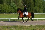 IMG_5602[1]