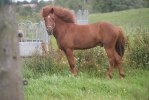DSC03744