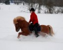 Fylkir snögalopp
