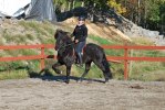 DSC_0198 (2)