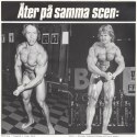 RÖRANDE 1981-41 001