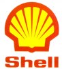 Shell-Logo-Design