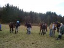 DSC01182