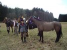 DSC01195