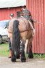 Vårbrukar