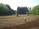 DSC01310
