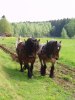 Vårbruk+2