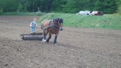 DSC01403